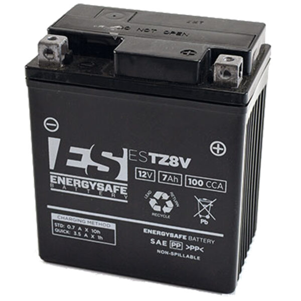 BATERÍA ENERGYSAFE ESTZ8-V PRECARGADA